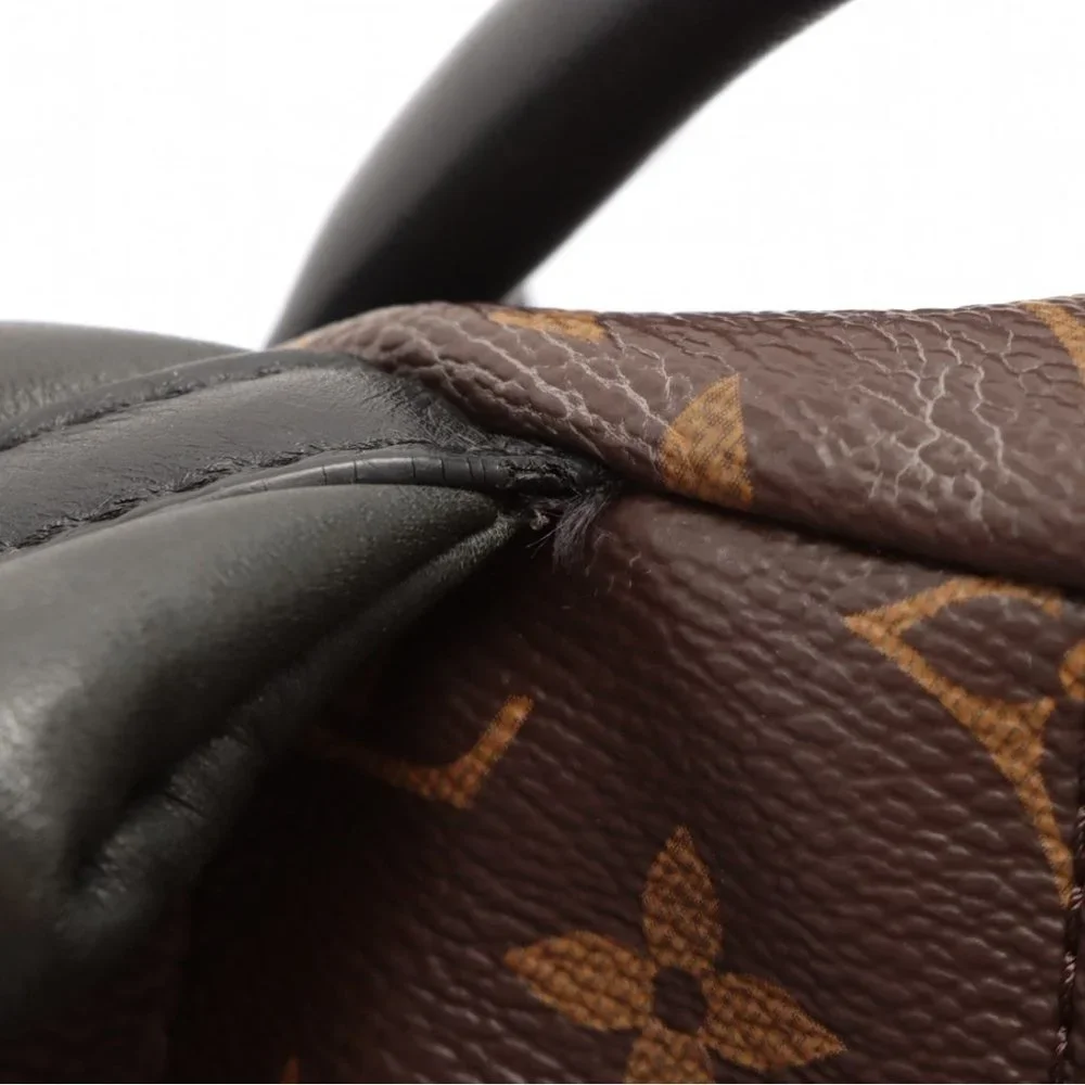 Louis Vuitton Palm Springs MM Monogram Backpack - Picture 15 of 16